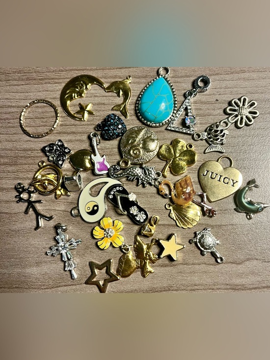 None Jewelry - Pendants charms and trinkets.